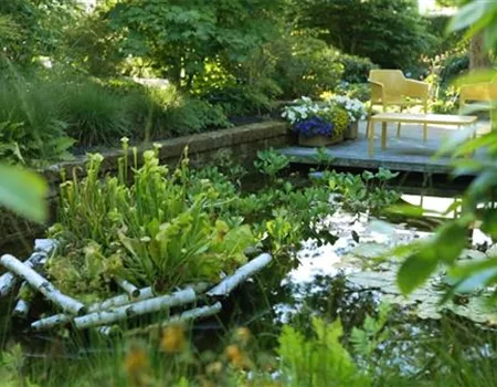 Gartengestaltung - Waldgarten