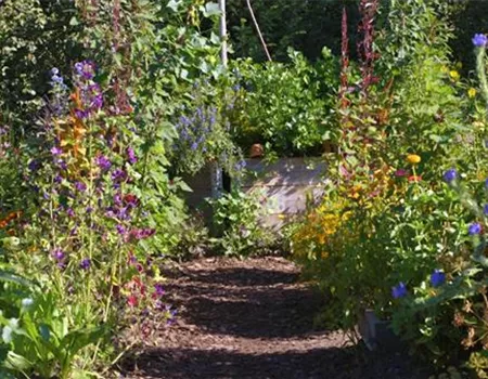Gartengestaltung - Bauerngarten